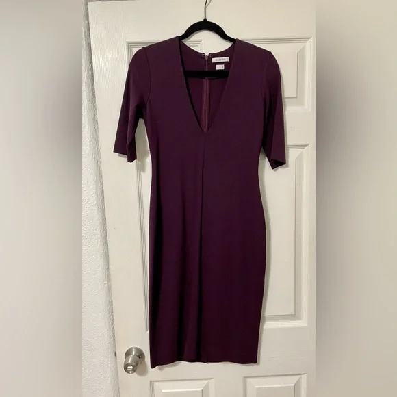 babaton purple dress Babaton Aritzia purple dress